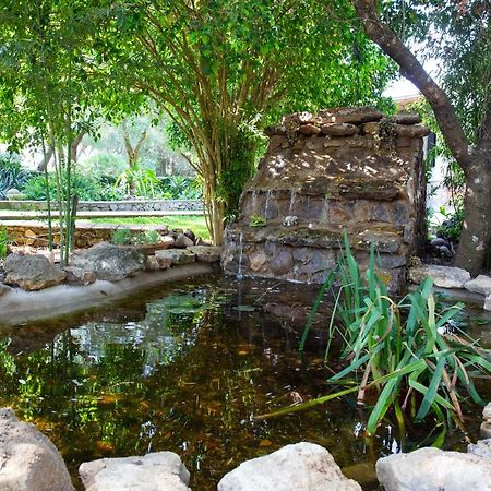 Casa Caramelo Villa Medina-Sidonia Dış mekan fotoğraf